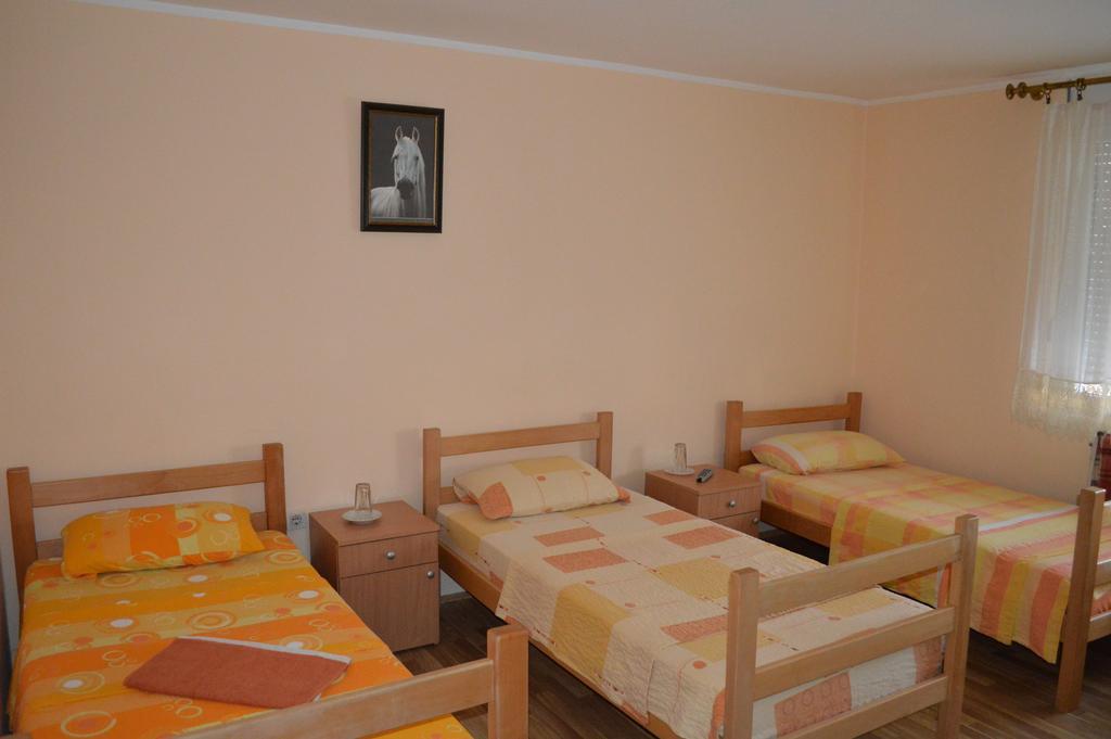Pansion Lug Belgrade Room photo